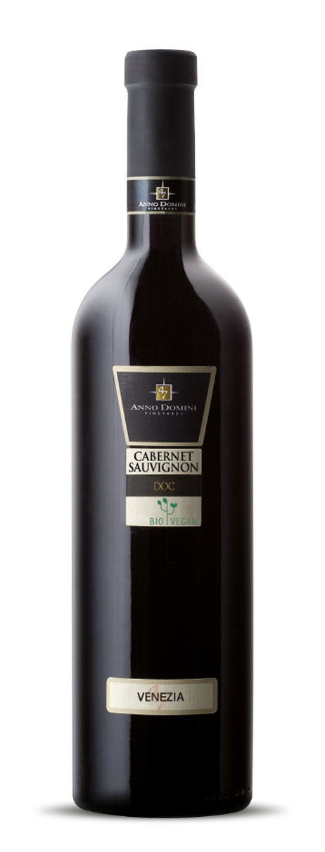 Cabernet Sauvignon D.O.C. Bio Vegan | Italienischer Rotwein